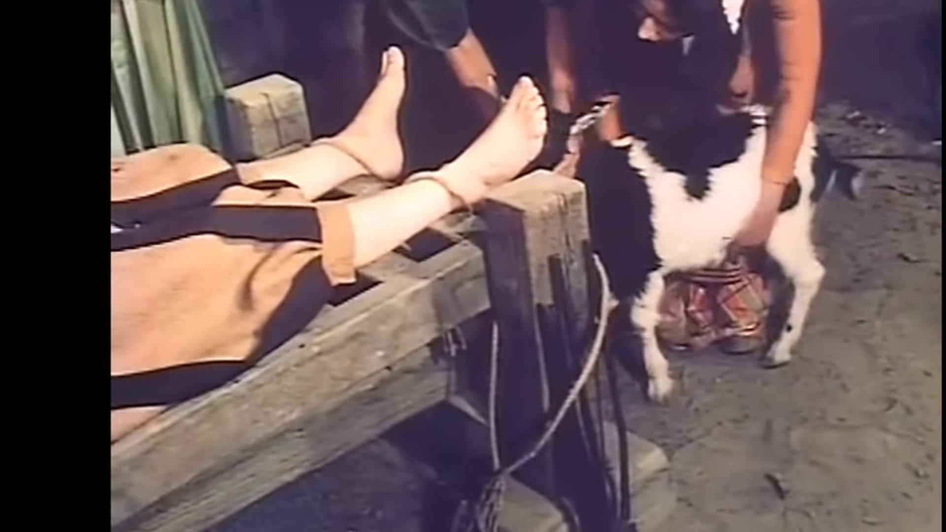 Tickle goat Die Stossburg (1974)