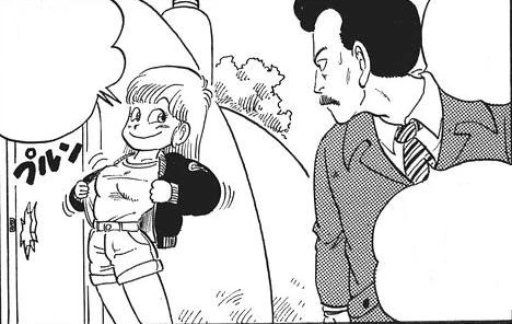 Bulma breast size