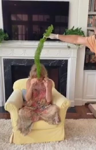Goldie Hawn tickled 4