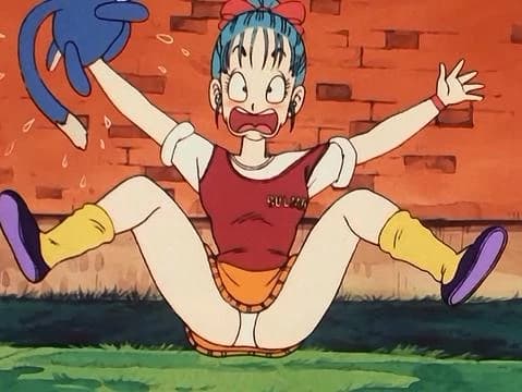 bulma panties