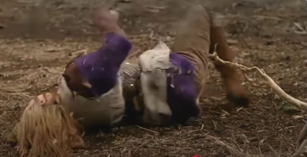 Dick & Tom Tickle