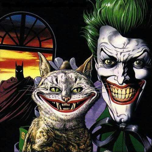 Joker toxin cat
