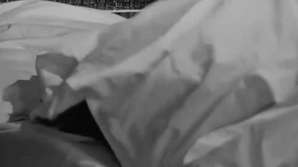 Tickle Brigitte Bardot - The Truth