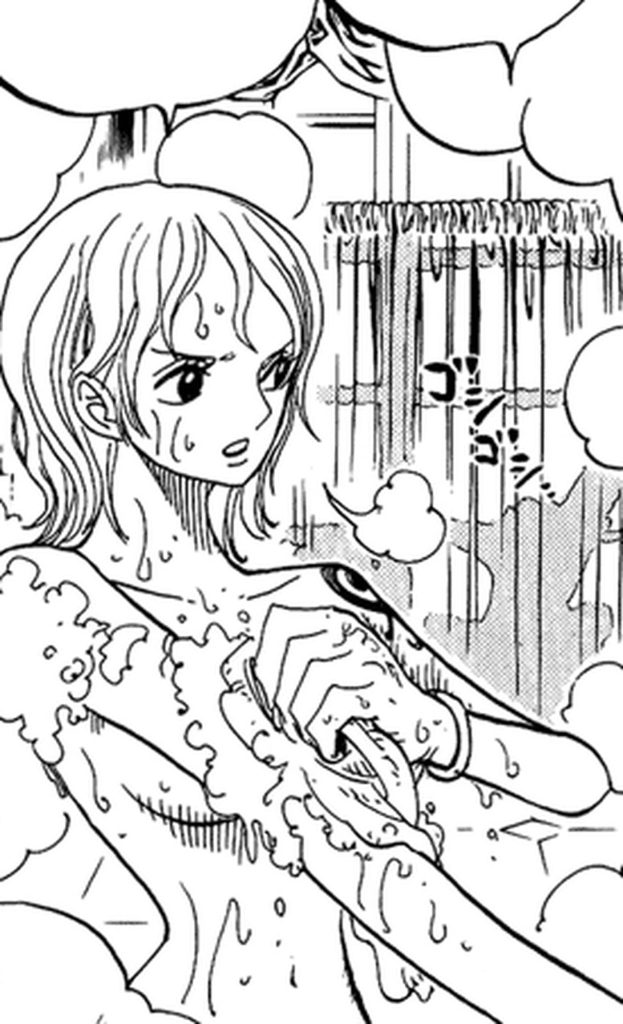 Nami nude (ch.446)