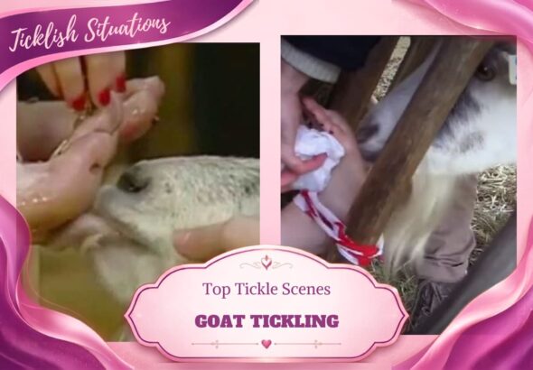 Goat tickle torture scenes