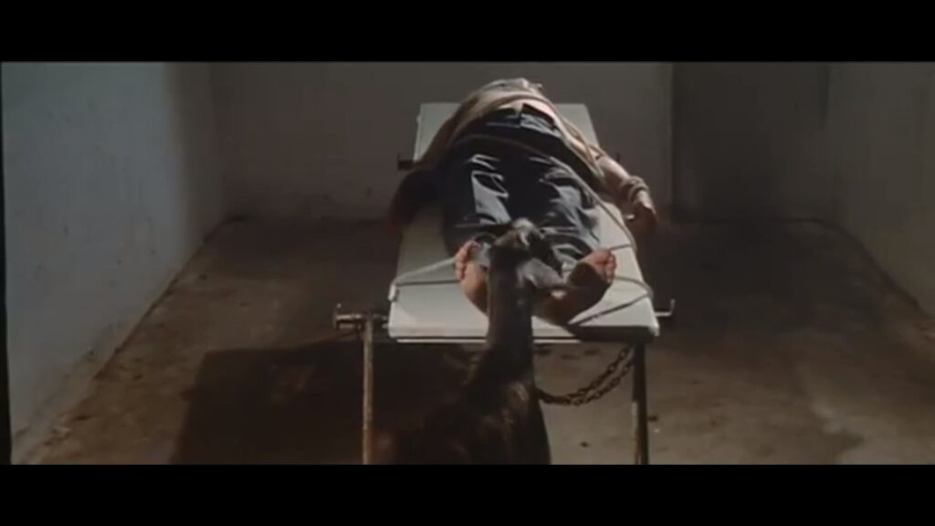 Holocaust tickle torture