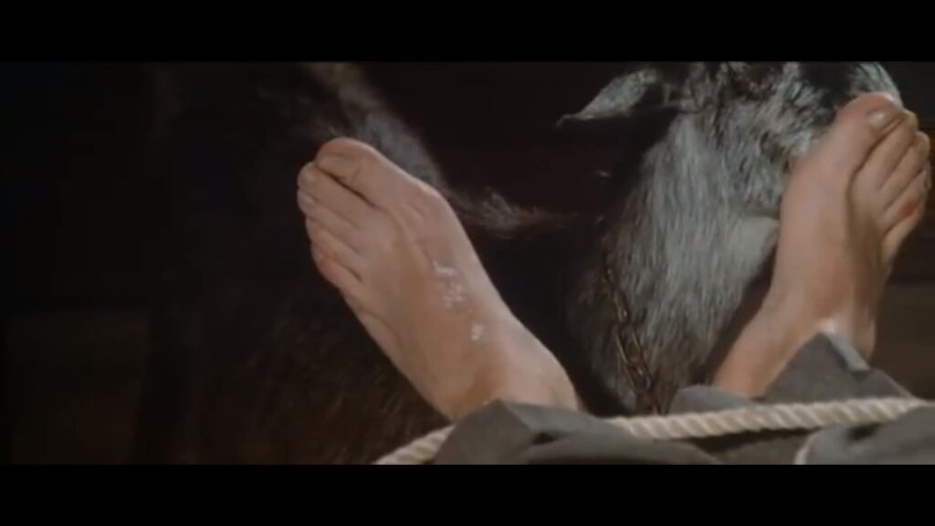 Holocaust tickle torture