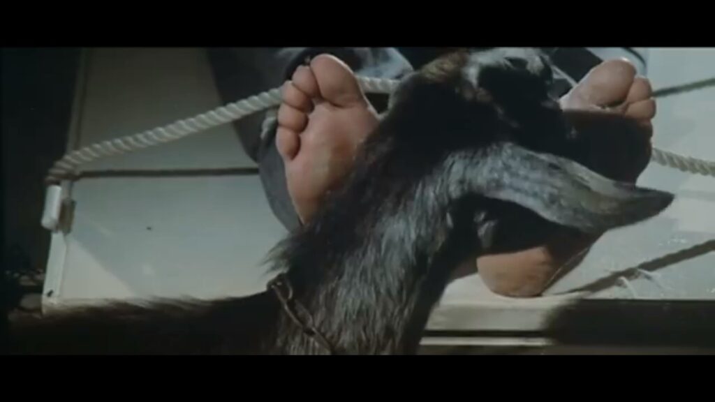 Holocaust tickle torture