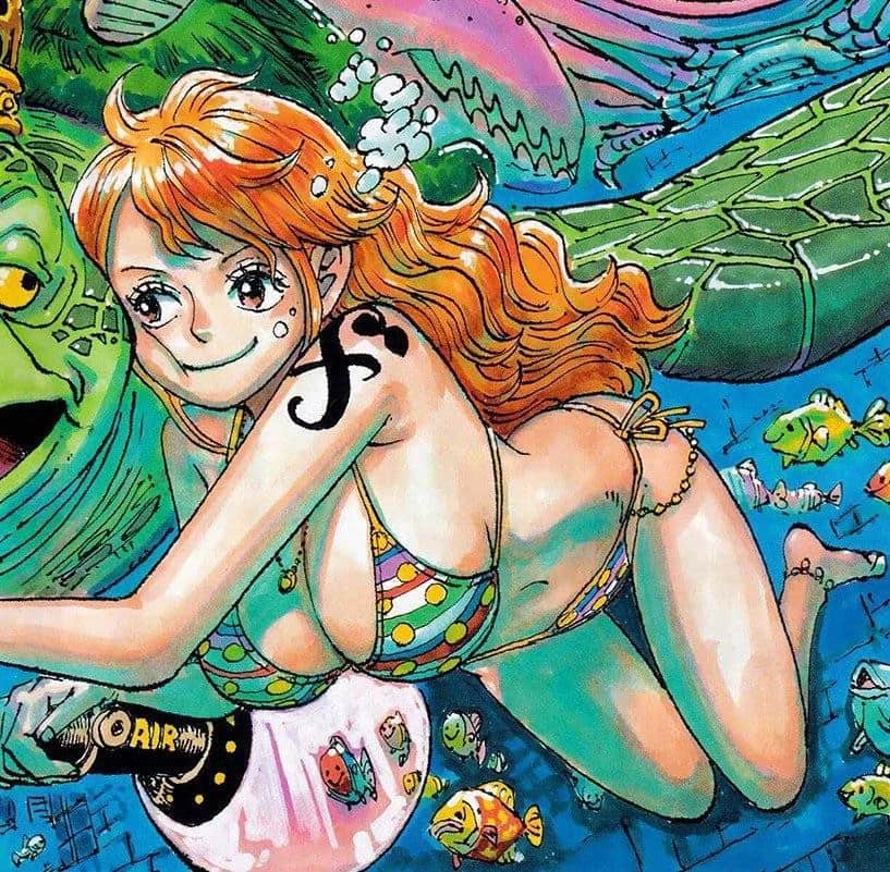 Nami swimsuit