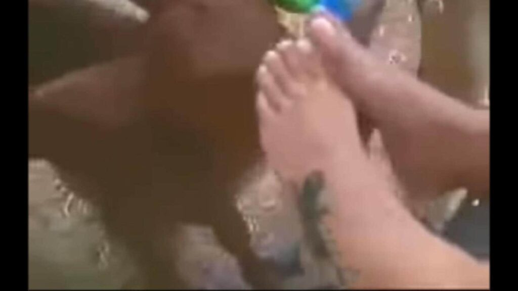 Panico Na Tv tickling 1