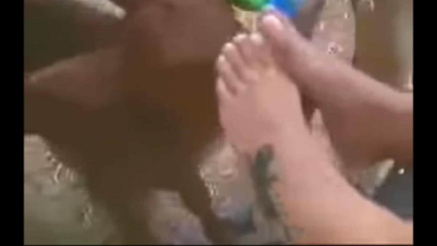 Panico Na Tv tickling 1