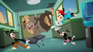 Tickling Animaniacs