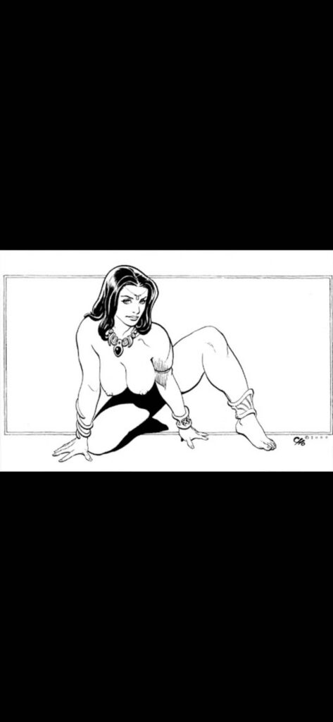Frank Cho nude art