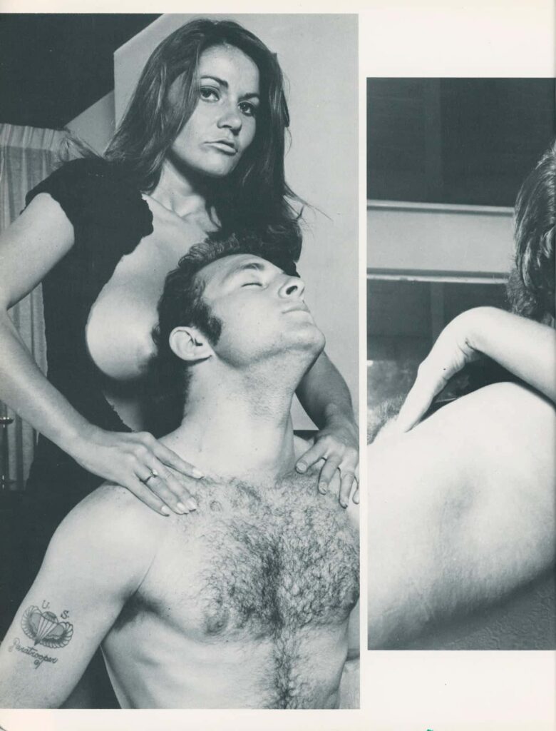 Big Bust Vixen Volume 2 - Uschi Digard e Candy Samples