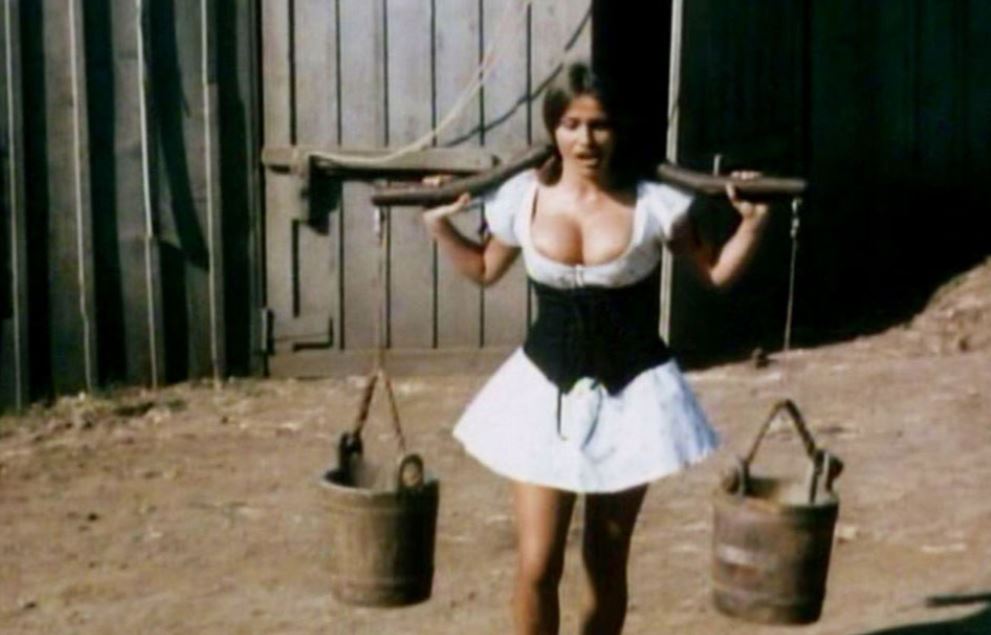Beneath the Valley of the Ultra-Vixens