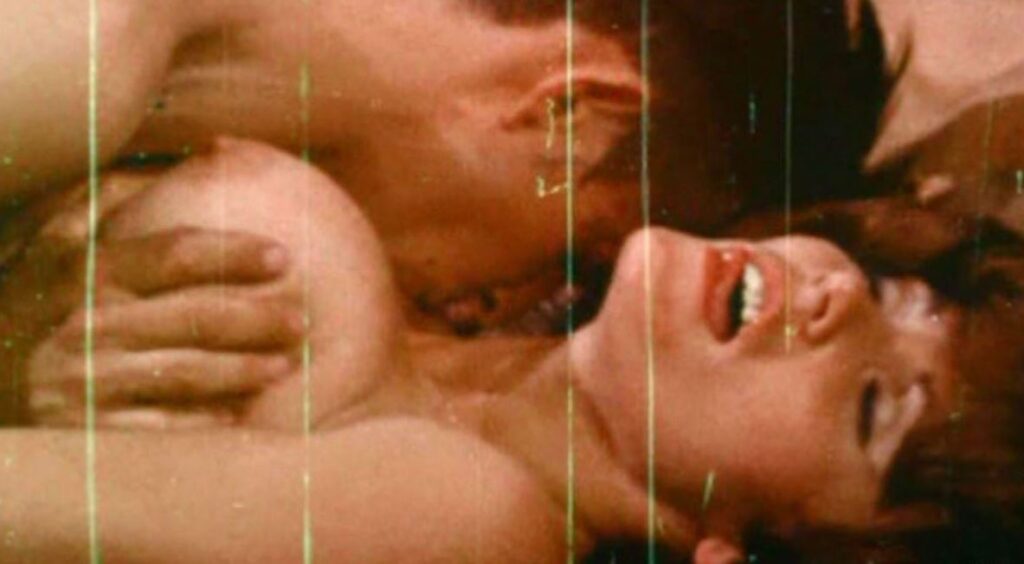 The Pimp Primer (1970)